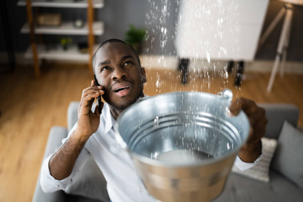 Reliable Clarence, IA Water damage restoration Solutions