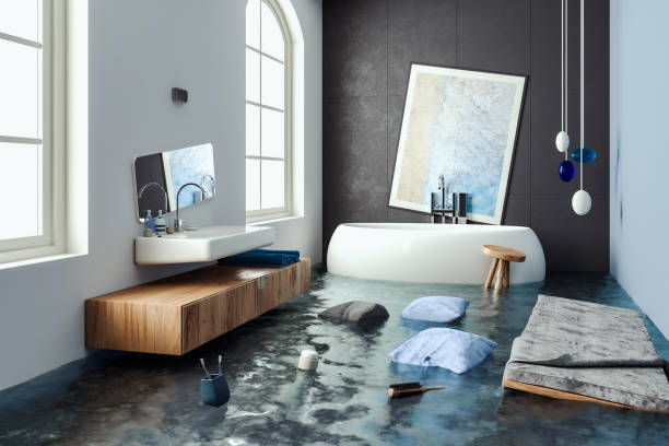 Best Carpet water damage restoration  in Clarence, IA