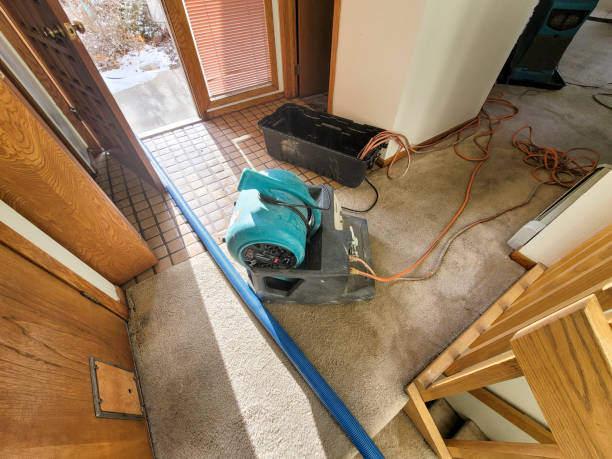 Best Water damage restoration near me  in Clarence, IA