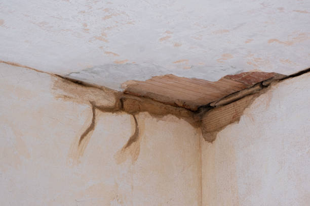 Best Flood damage cleanup  in Clarence, IA