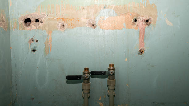 Best 24/7 water damage repair  in Clarence, IA