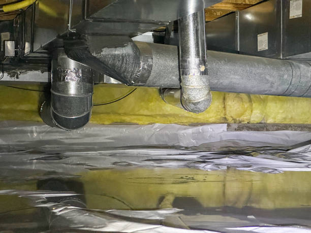 Best Water damage contractors near me  in Clarence, IA