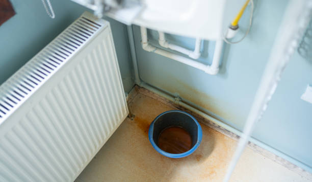 Best Fire Damage Restoration  in Clarence, IA