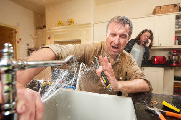 Best Mold removal after water damage  in Clarence, IA